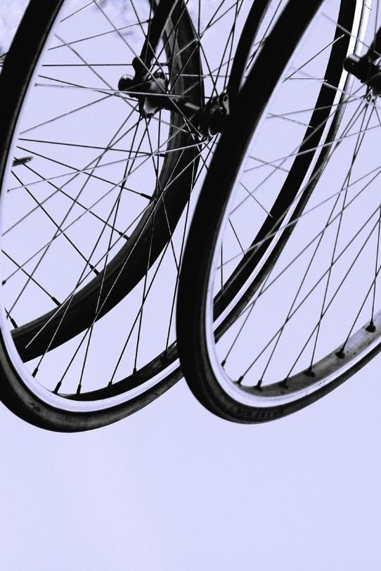 for ikke at nævne Envision Abe Cykler, cykeldele, cykeludstyr og reservedele - Daniabikes.com